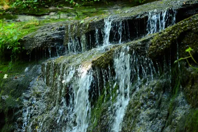 DSC_2759 (Large).JPG